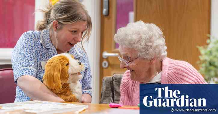 ‘It’s almost magical’: how robotic pets are helping UK care home residents