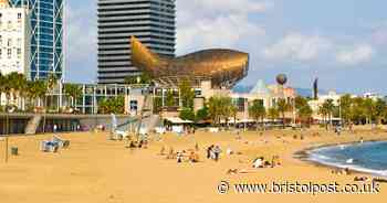 Cases of botulism coming from contaminated food detected in tourists who had been to Spain