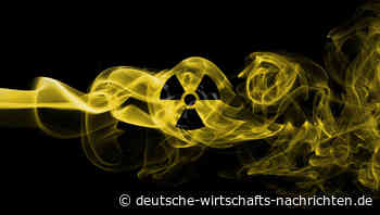 FDP fordert Option auf Wiedereinstieg in die Atomkraft