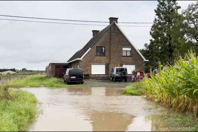 Regen zet enkele straten blank, industriezone Kruishoutem deels ondergelopen