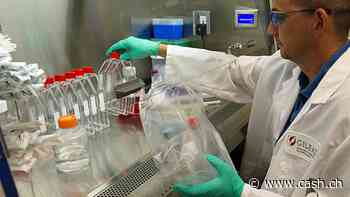 US-Arbeitsmarkt entwickelt sich stärker als erwartet - Arbeitslosenquote steigt jedoch