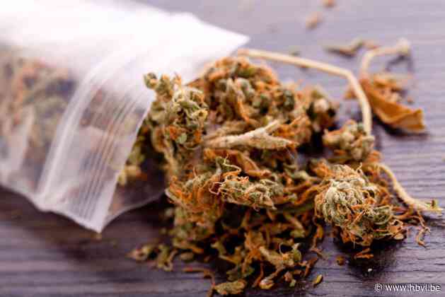 Drugsdealer (39) gevat in Beringen: zakjes met cannabis lagen in auto