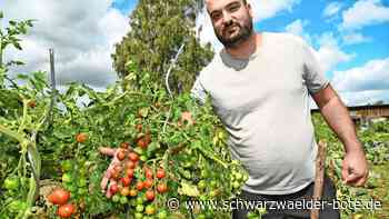 Tomatenanbau in Nagold: „Ich liebe einfach die große Vielfalt“