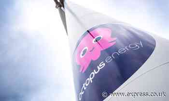 Octopus Energy to take on nearly two million customers in Shell deal