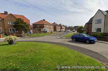 Northumberland woman arrested after reports of brandishing knife and two assaults