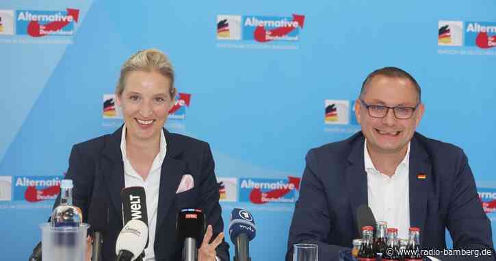 AfD legt Papier für «AfD-geführte Bundesregierung» vor