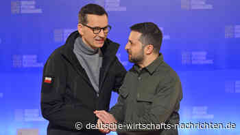 Getreide: Ukraine zieht gegen EU-Importverbote vor Gericht