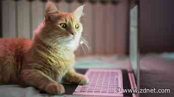 My 7 favorite Microsoft PowerToys: Utilities every Windows PC user should try