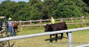 Stockmanship event to offer hands-on livestock handling training