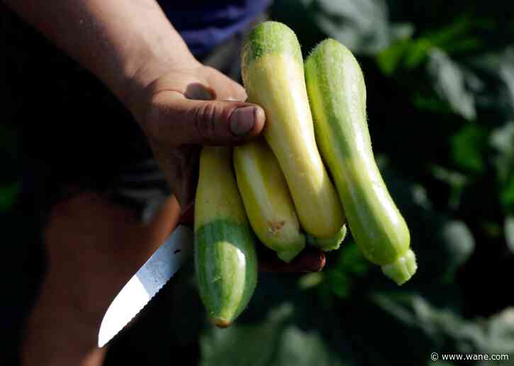 Vote for your favorite Fort Wayne farmers market in national competition