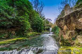 Top 10 beauty spots Newcastle residents are most proud of - Jesmond Dene tops the list