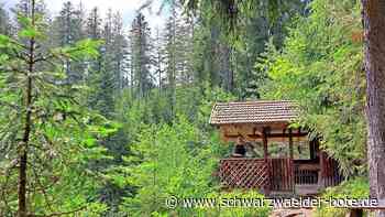 Skiclub Simmersfeld lädt ein: Halbmarathon und Genusswanderung