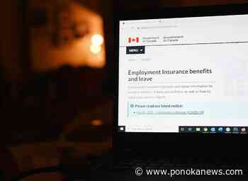 Review finds at least 120 CRA employees claimed COVID benefits while employed