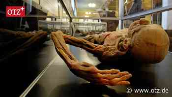 Das fahrende Geschäft mit den Leichen: Umstrittene Ausstellung macht Station in Jena