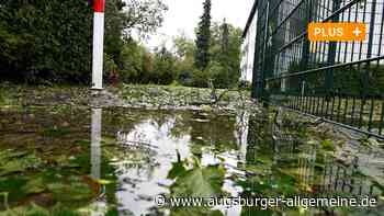 Grüngut-Abholung in Augsburg: Warum nicht gleich so?