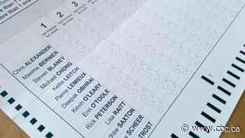 Manitoba Liberals pitch switch to voting in provincial elections