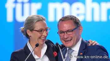 AfD in Sachsen bei 35 Prozent: Umfrage bestätigt Trend - was tun?