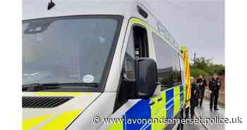 Dogs seized after reports of being dangerously out of control