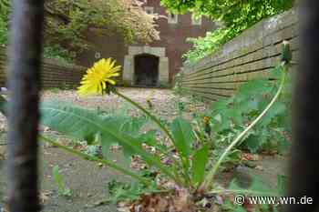 Stadt Münster glaubt nicht an Bunker-Reaktivierung