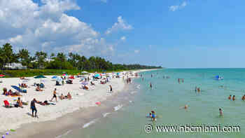 Are Florida's waters safe to swim in? What to know before going to the beach this holiday weekend