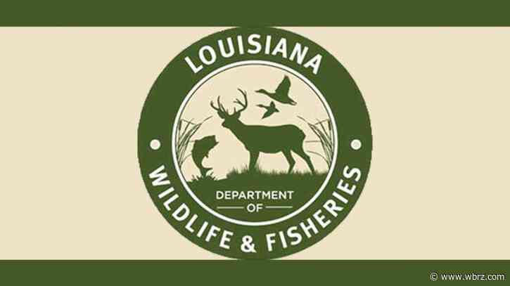 Louisiana bans open flames at sites managed by state wildlife department