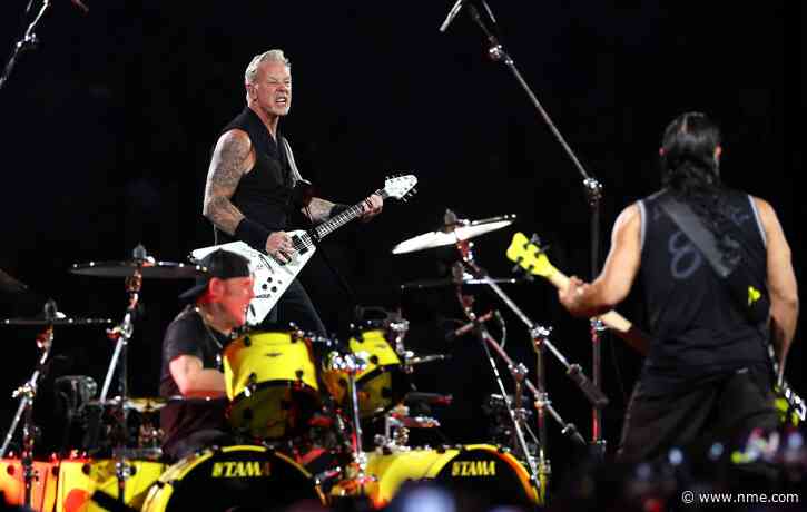 Dog runs away from home, watches entire Metallica show