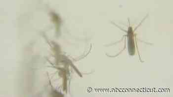 Mosquitoes in Thompson test positive for EEE for the first time this season