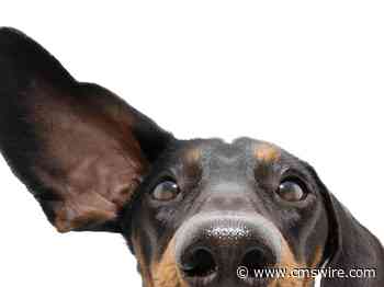 Mastering Customer Feedback Management for Better Products