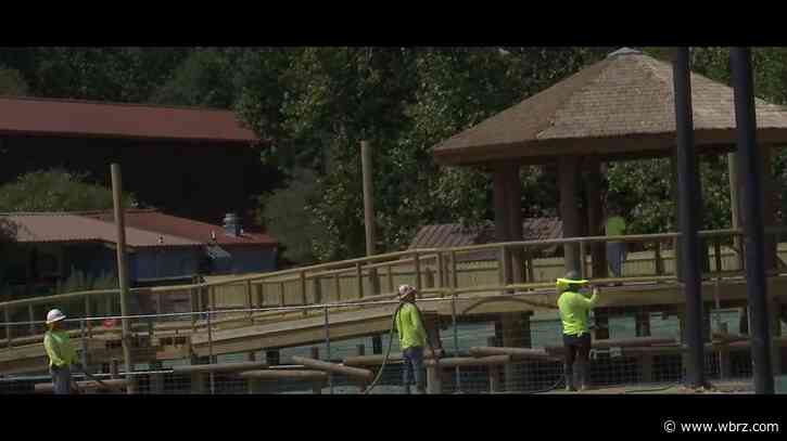 Baton Rouge Zoo preparing new giraffe exhibit