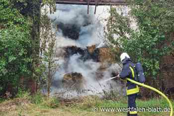 Ist das Ehrenamt im Altkreis Warburg schon überlastet?