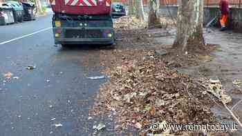 Anche le foglie si possono riciclare: tutto sulle "terre di spazzamento" e l'impianto che spaventa il Salario