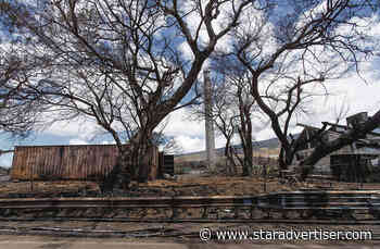 Number of Maui missing nearly unchanged at 385