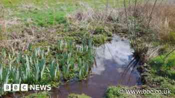 River Sherbourne to be returned to historical route