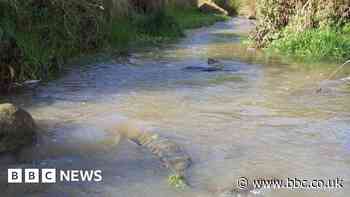 Housing firm pays £100k for polluting Bradford waterway