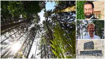 Wälder stilllegen und damit das Klima schützen? Forstbesitzer verstehen die Welt nicht mehr