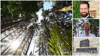 Wälder stilllegen und damit das Klima schützen? Forstbesitzer verstehen die Welt nicht mehr