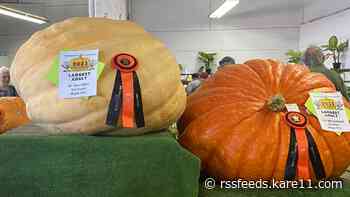Dassel-grown pumpkin takes home top prize at the Minnesota State Fair