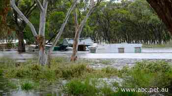 There's a hidden cost to being underinsured. This flood-affected caravan park is finding out the hard way
