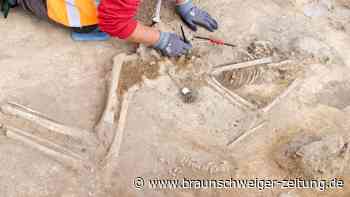 Forscher staunen über Familienstruktur in der Bronzezeit