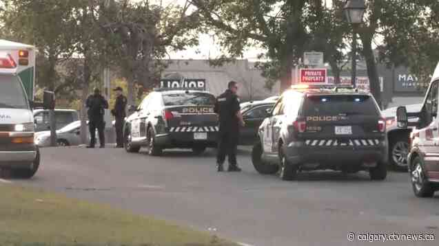 'All hell was breaking loose': Rival Eritrean groups clash in northeast Calgary Saturday night