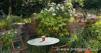 The 'undiscovered' Bristol cafe with a tranquil garden and tasty cakes
