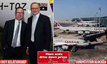 Flight Centre boss Graham Turner rips into Qatar Airways rejection after Anthony Albanese sided with Qantas