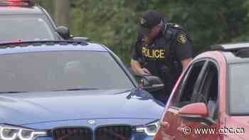 OPP lay nearly 100 charges so far this weekend at illegal car rally in Wasaga Beach
