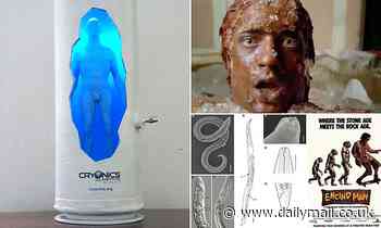 The real-life Encino Man? As an extinct worm is reawakened after 46,000 years, experts reveal whether frozen HUMANS could ever be brought back to life