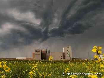 Is potash a critical mineral? It is in Canada, and could soon be one in the U.S. too