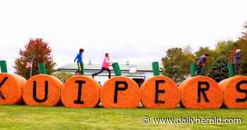 5 suburban pumpkin patches offering fall fun