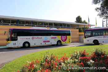Transports scolaires Envibus: tout ce qui change à la rentrée dans la communauté d'agglomération Sophia Antipolis