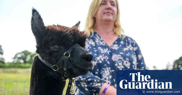 Owner of Geronimo the alpaca says she is still fighting for justice