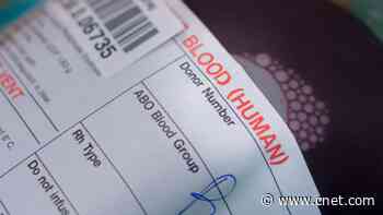 The Importance of Knowing Your Blood Type: 3 Methods to Identify Yours     - CNET