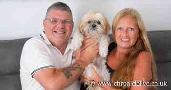 Hebburn family 'crying tears of joy' after missing dog found seven miles away